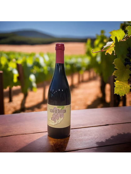 Mencía Lagar do Artesán